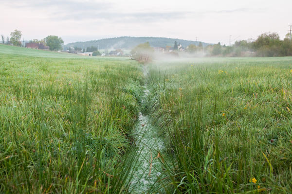 Natur & Umwelt