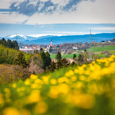 D&ouml;ggingen mit Feldberg