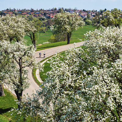 &Ouml;fingen Halde
