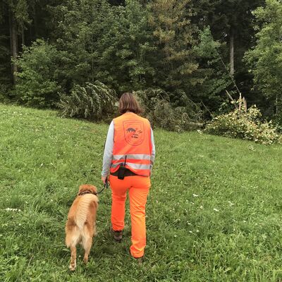 ASP-&Uuml;bung mit Hund