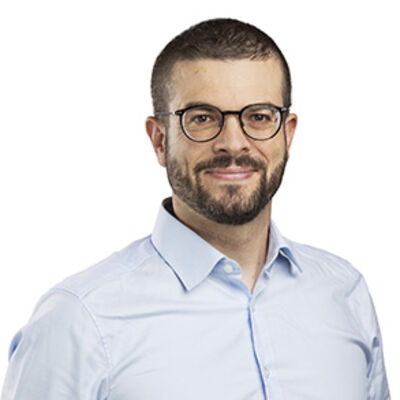 Wilhelm Hahn, FWV