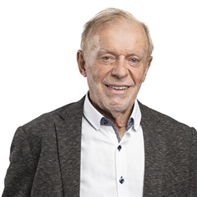 Ernst Schaumann, AfD