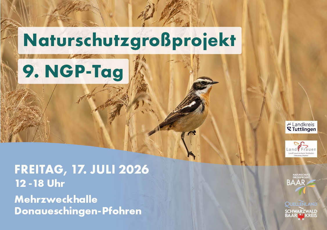 NGP-Tag 
